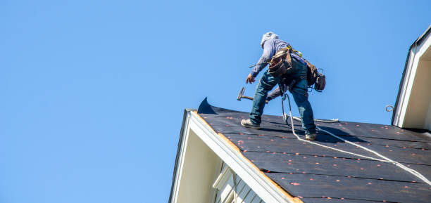 Best Metal Roofing Contractor  in Sea Breeze, NC